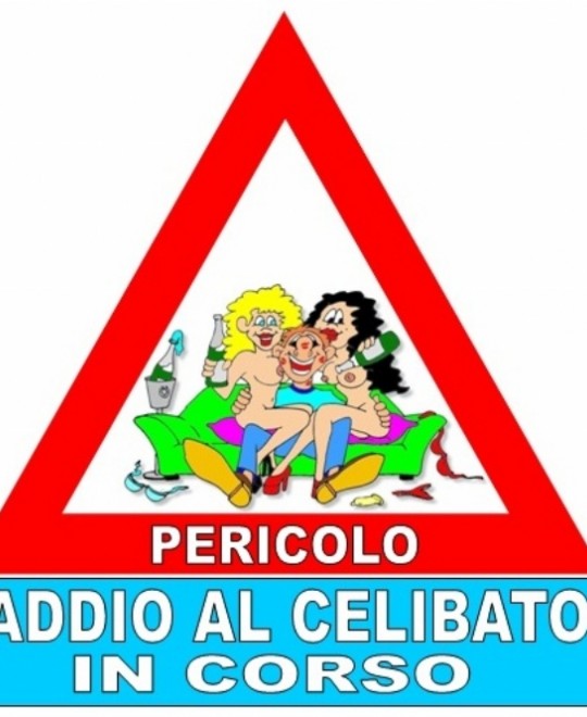 CARTELLO CELIBATO PARTY PLASTIFICATO