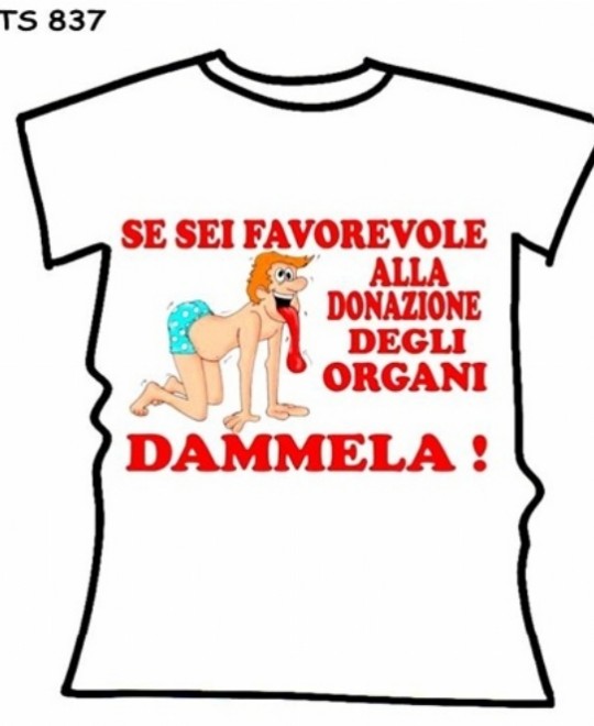 T-SHIRT DAMMELA 2 IN CONFEZIONE